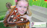 Вход за изложба на живи тропически пеперуди - в Св. св. Константин и Елена