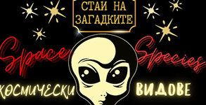 Стаи на загадките