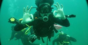 Diving BG