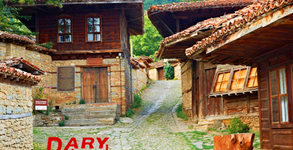 Дари Травел
