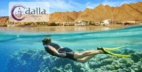 Dalla Tours