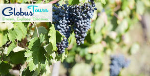Globus Tours