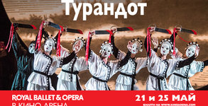 Кино Арена