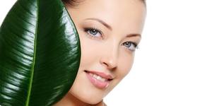 Център BiolifeFuel