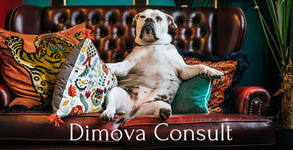 Dimova Consult