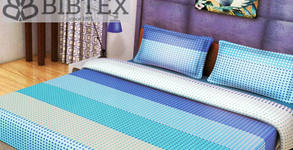 Bibtex