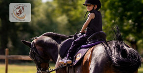 Ездови клуб Валдемар-Хорсис