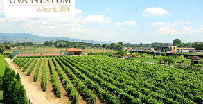Uva Nestum Wine & SPA