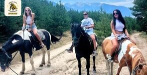 Конна база Вуковия