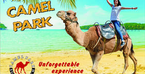 Camel Park Sunny Beach