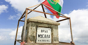 Дари Травел