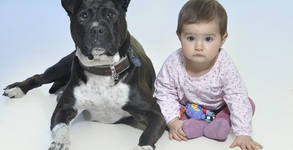 Photosesia.com