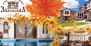 SPA комплекс Александър***