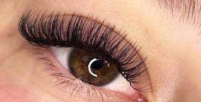 The Lash Room Beauty Salon
