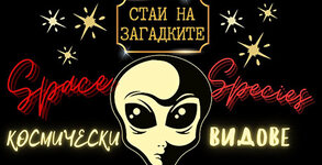 Стаи на загадките