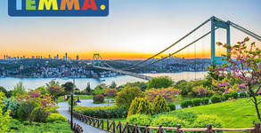 ТЕММА