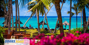 Odans Travel
