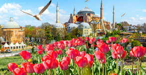 До Истанбул за Фестивала на лалето през Април: 2 нощувки със закуски, плюс транспорт