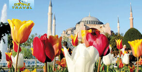 Дениз Травел