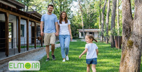 Вили Елмона