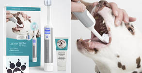 Grooming Studio Doggy Dog