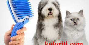 Кoloriti.com