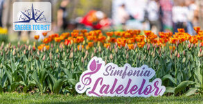 Снегер Турист