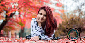 Arsov Image