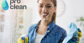 Pro Clean