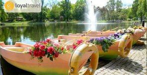 Лоял Травел