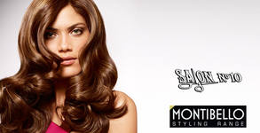 Salon №10