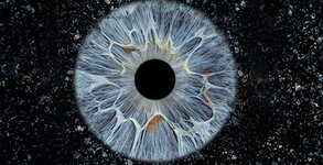 Ирис Студио