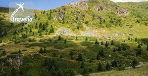 Travelia