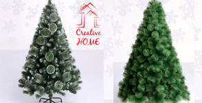 Creative Home