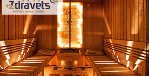 Хотел Здравец Wellness & SPA****