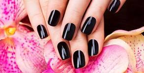 Flamingo Beauty Salon Rodina