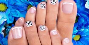 Flamingo Beauty Salon Rodina