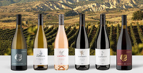 Къщи за гости Капатово