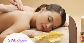 SPA студио Красота и Живот