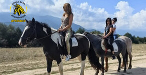 Конна база Вуковия