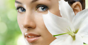 Flamingo Beauty Salon Rodina