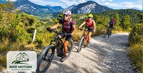 Bike Motion