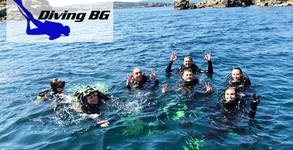 Diving BG