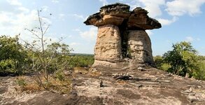 Ваканция Роза