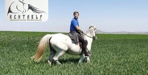 Конна база Кентавър