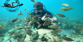 Primorsko Diving Club