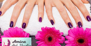 Amica Art Studio