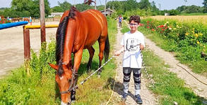 Забавление край Пловдив: 20 минути разходка с кон - за дете