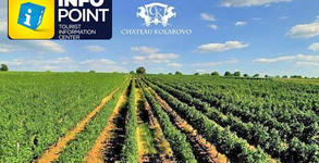 Info Point