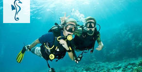 Black Sea Adventure